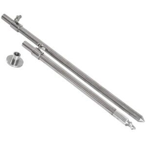 SET PICHETI TELESCOPICI CAP EXPERT BANK STICK  20/30CM 2BUC